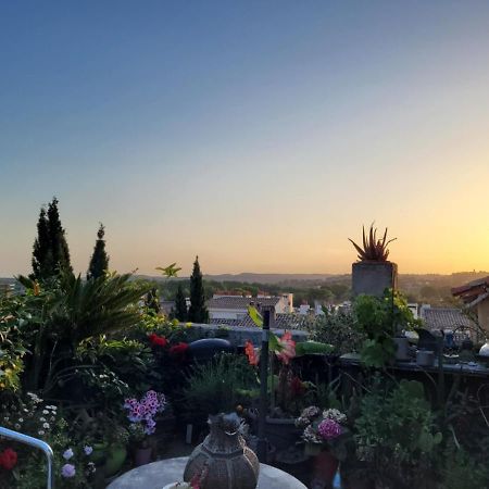 Un Nid Sur Les Toits Face Au Palais Des Papes Apartment Avignon Bagian luar foto