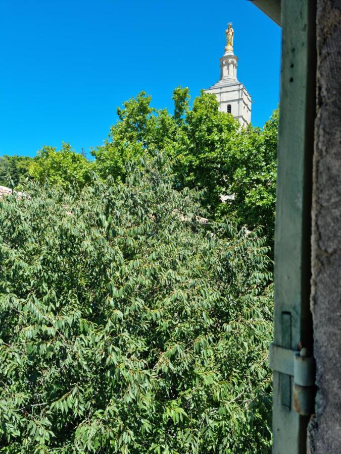 Un Nid Sur Les Toits Face Au Palais Des Papes Apartment Avignon Bagian luar foto