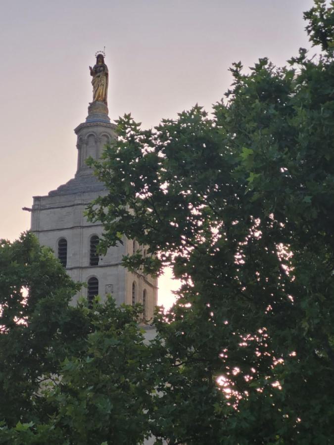 Un Nid Sur Les Toits Face Au Palais Des Papes Apartment Avignon Bagian luar foto