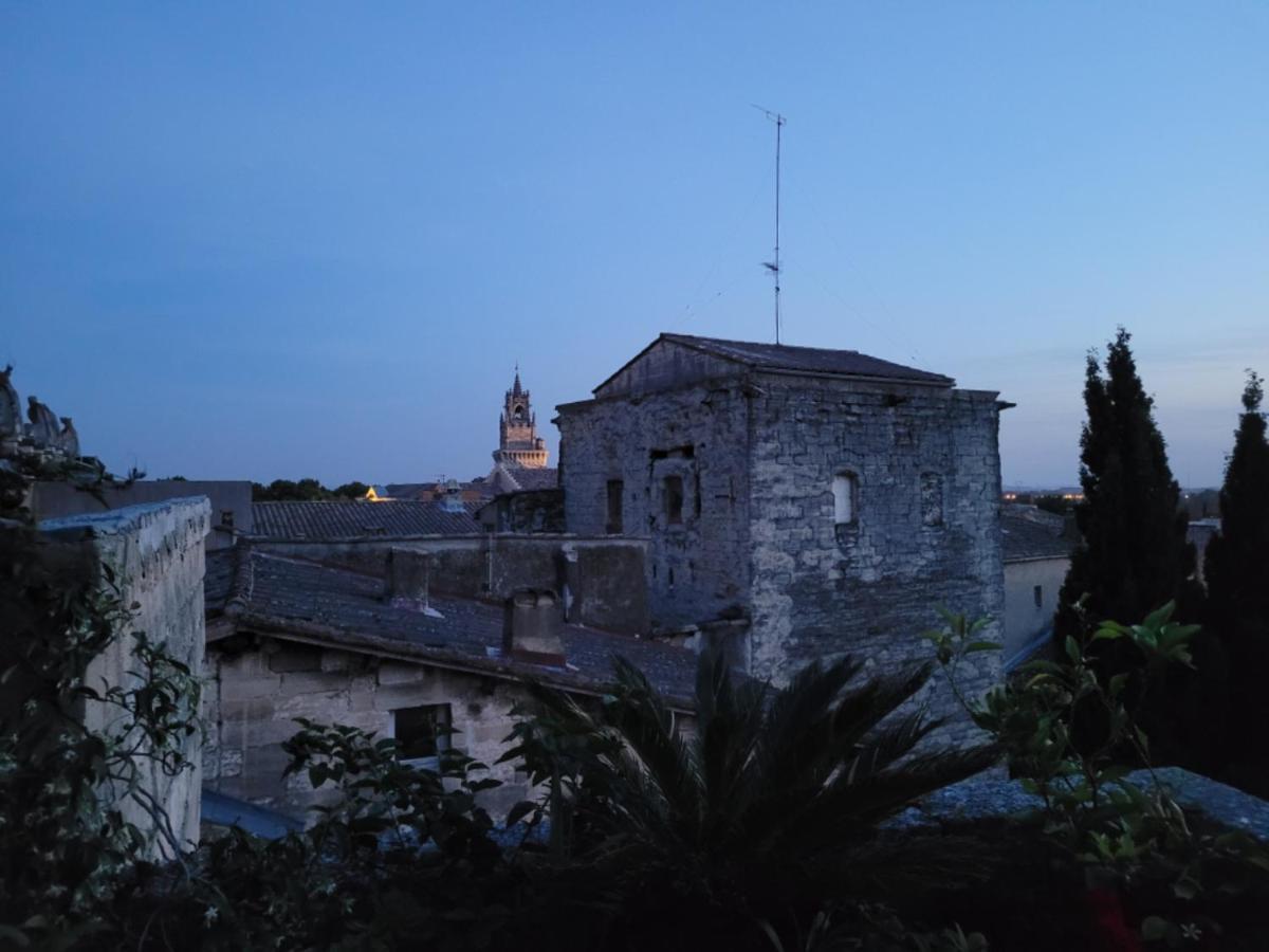 Un Nid Sur Les Toits Face Au Palais Des Papes Apartment Avignon Bagian luar foto