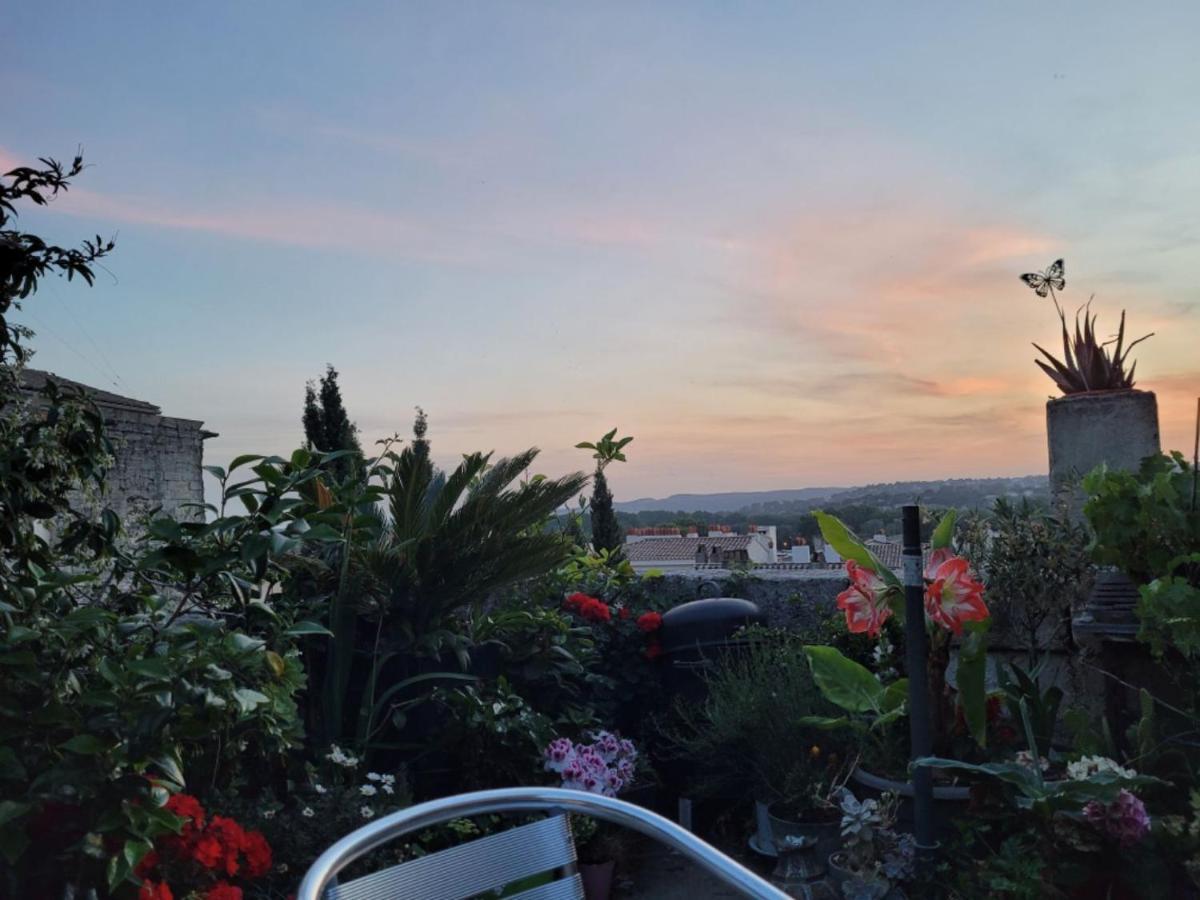 Un Nid Sur Les Toits Face Au Palais Des Papes Apartment Avignon Bagian luar foto