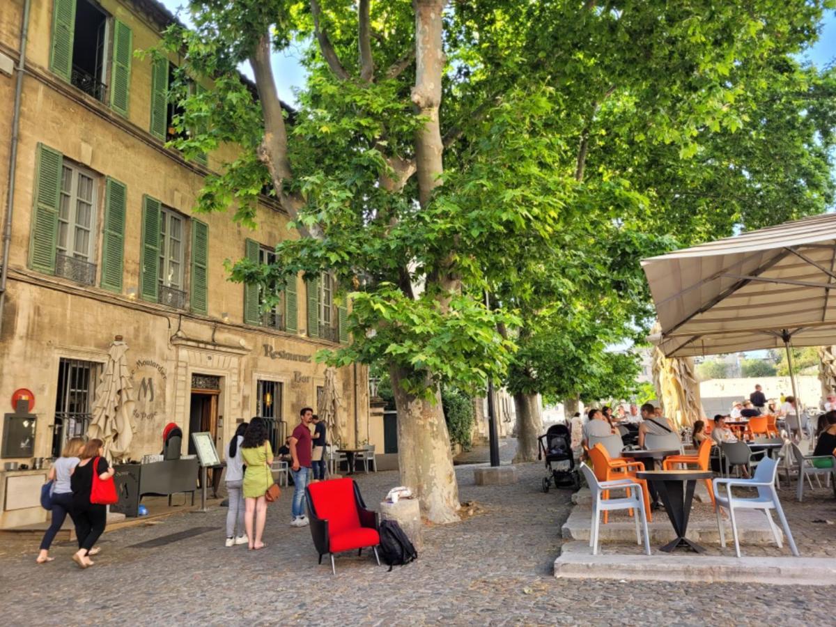 Un Nid Sur Les Toits Face Au Palais Des Papes Apartment Avignon Bagian luar foto