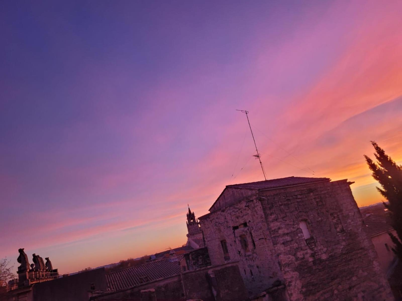 Un Nid Sur Les Toits Face Au Palais Des Papes Apartment Avignon Bagian luar foto