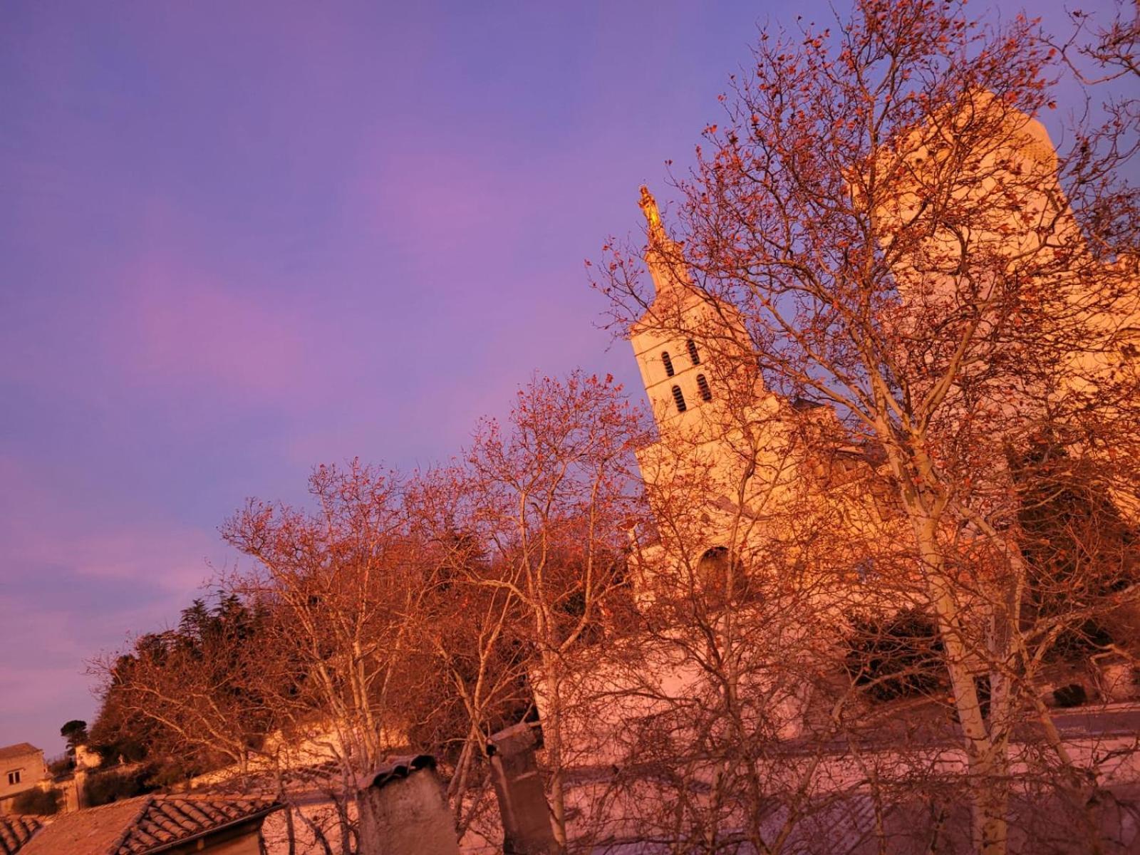 Un Nid Sur Les Toits Face Au Palais Des Papes Apartment Avignon Bagian luar foto