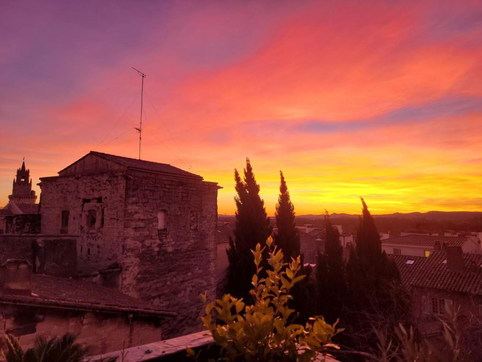 Un Nid Sur Les Toits Face Au Palais Des Papes Apartment Avignon Bagian luar foto