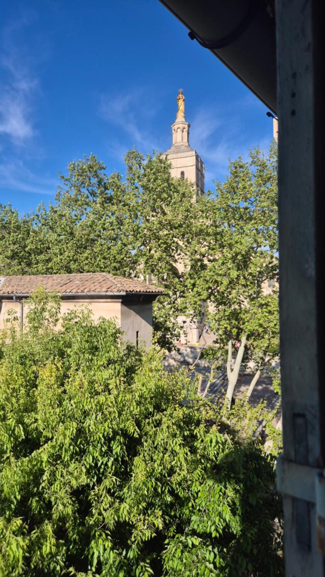 Un Nid Sur Les Toits Face Au Palais Des Papes Apartment Avignon Bagian luar foto